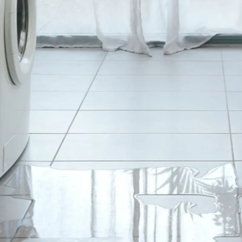 Appliance Leak Cleanup in Webster County, GA
