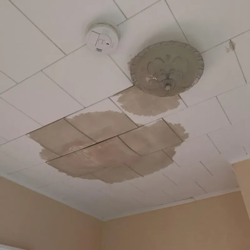 Ceiling Water Damage Repair in Webster County, GA