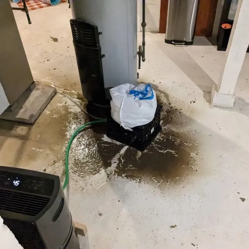 Sewage Backup Cleanup Service in Webster County, GA